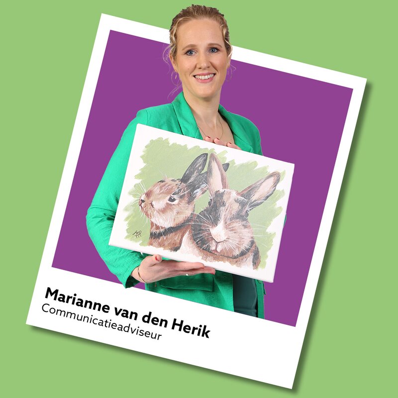 Senior-adviseur communicatie Asiel en Migratie